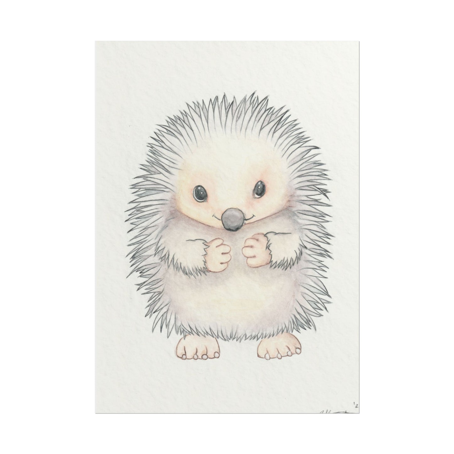 Baby Hedgehog - Art Print, Varying sizes available, Matte or Fine Art paper available