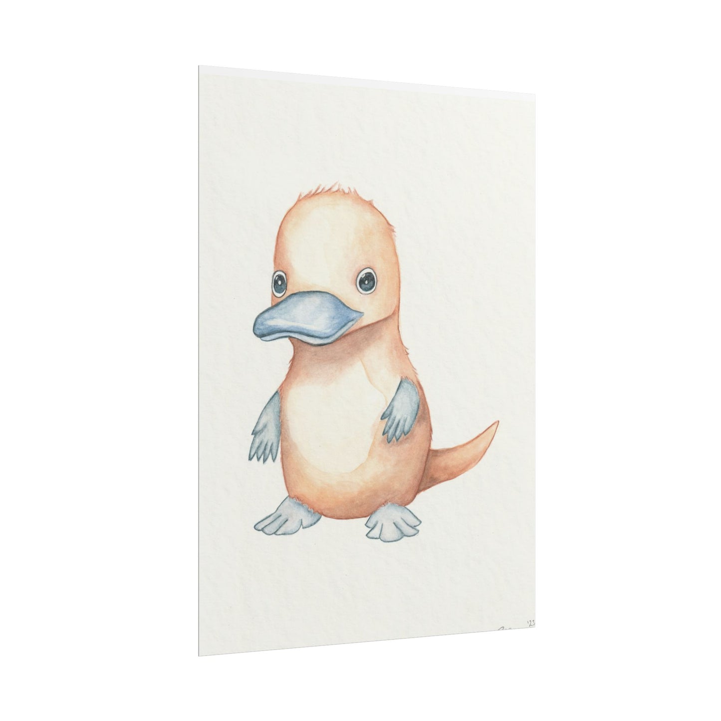 Baby Platypus - Art Print, Varying sizes available, Matte or Fine Art paper available