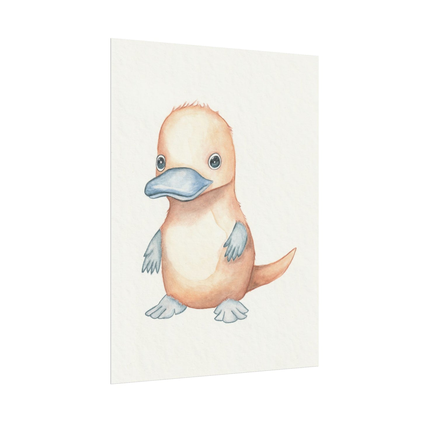 Baby Platypus - Art Print, Varying sizes available, Matte or Fine Art paper available