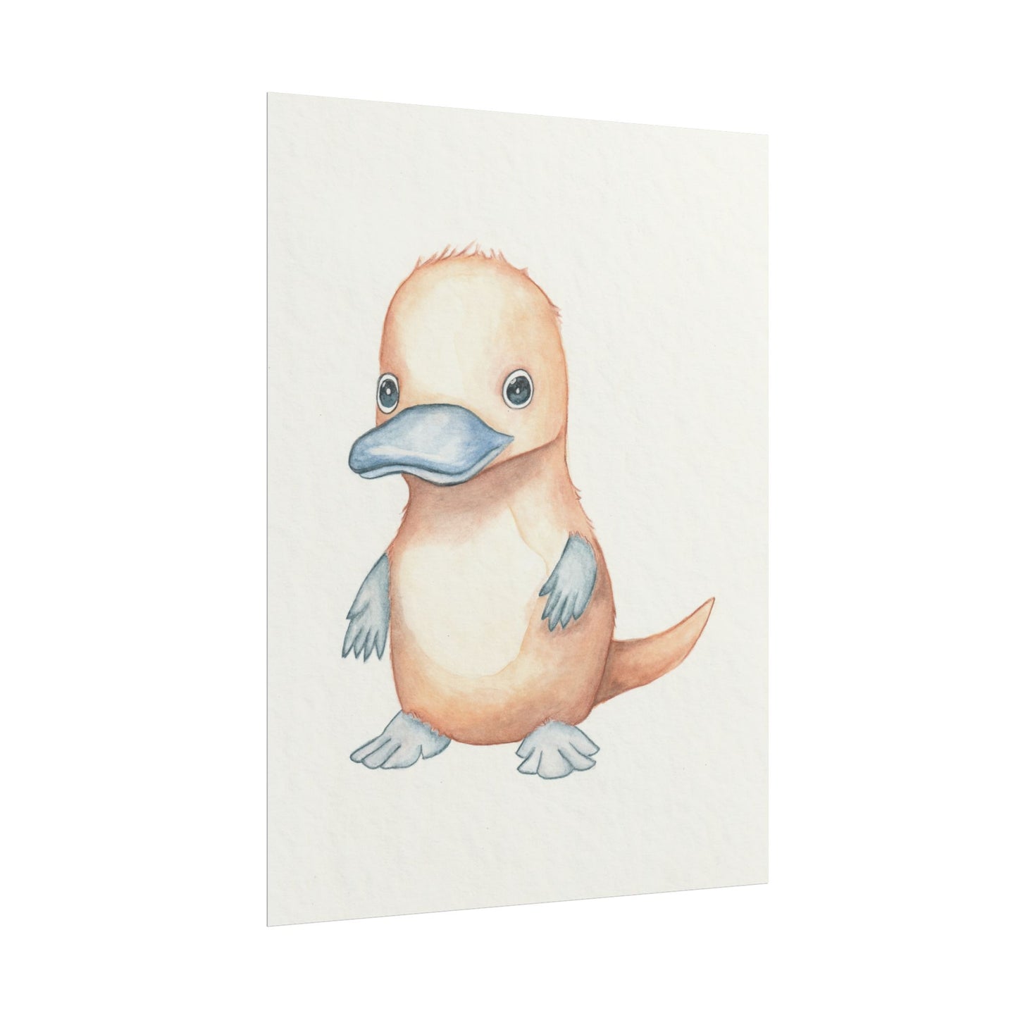 Baby Platypus - Art Print, Varying sizes available, Matte or Fine Art paper available