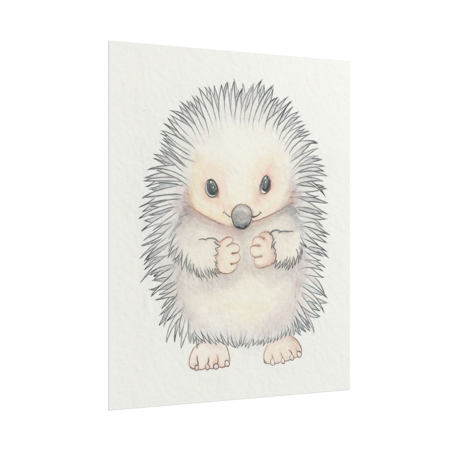 Baby Hedgehog - Art Print, Varying sizes available, Matte or Fine Art paper available