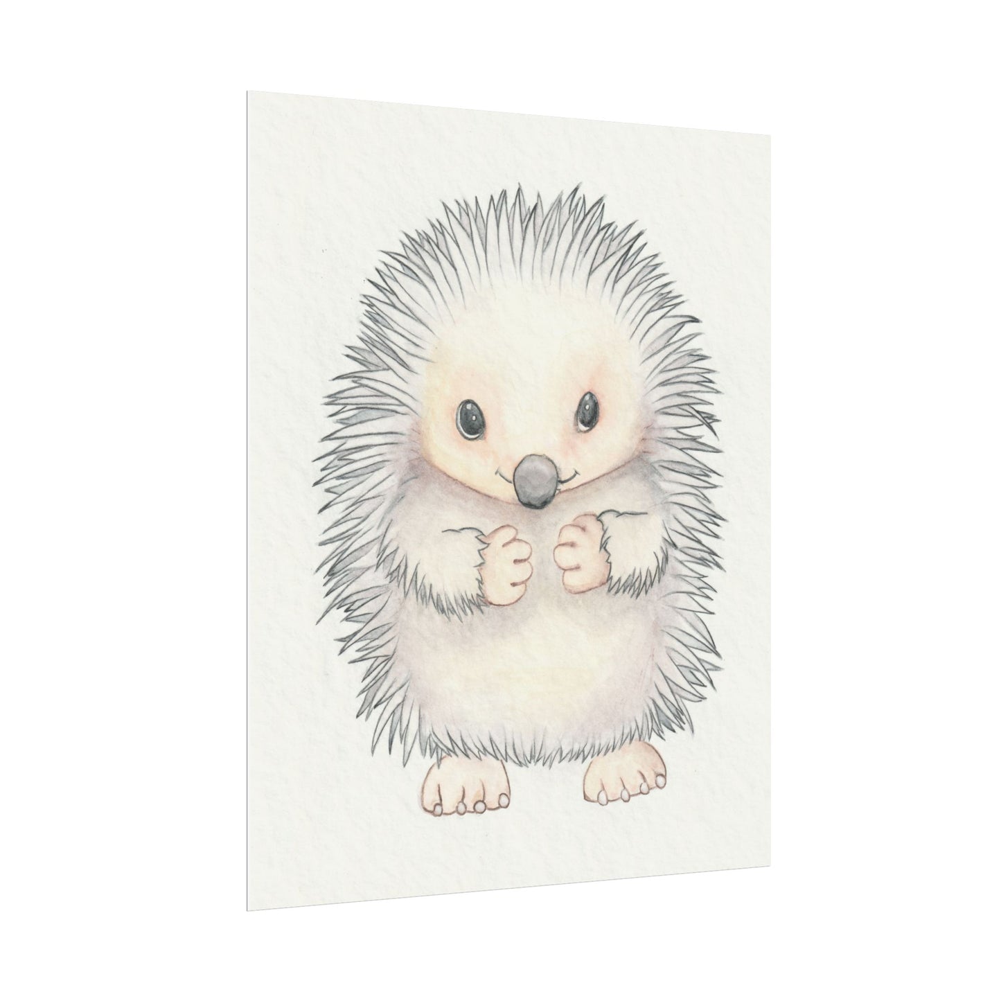 Baby Hedgehog - Art Print, Varying sizes available, Matte or Fine Art paper available