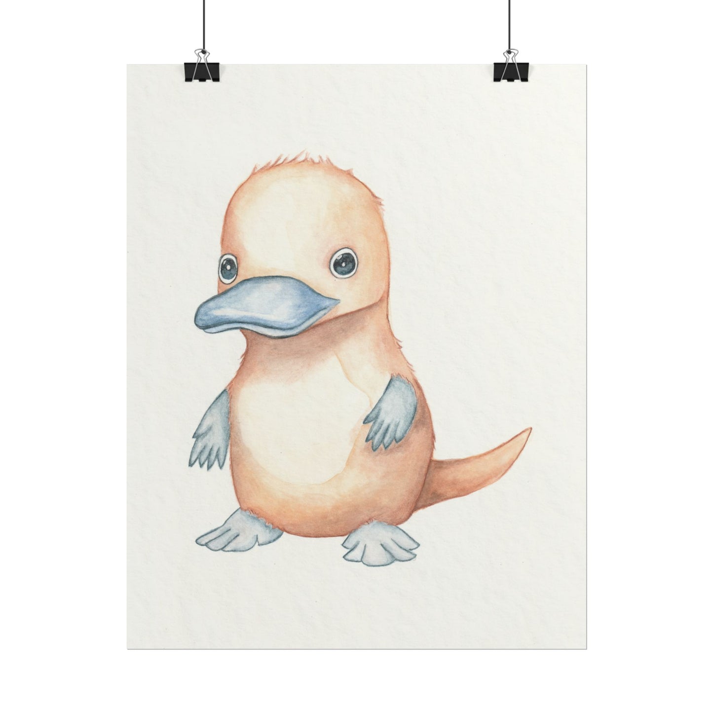 Baby Platypus - Art Print, Varying sizes available, Matte or Fine Art paper available