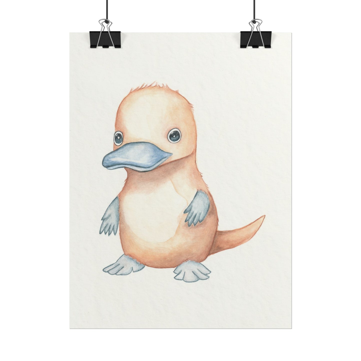 Baby Platypus - Art Print, Varying sizes available, Matte or Fine Art paper available