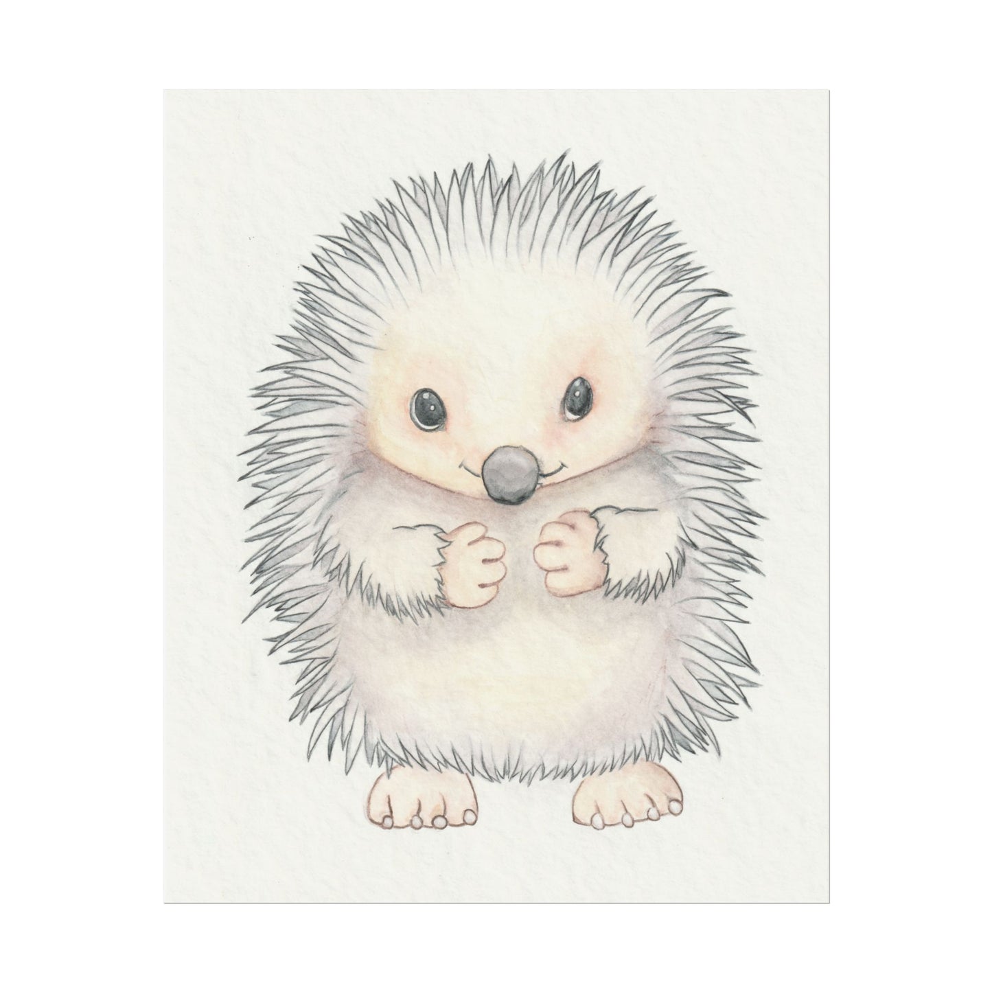 Baby Hedgehog - Art Print, Varying sizes available, Matte or Fine Art paper available