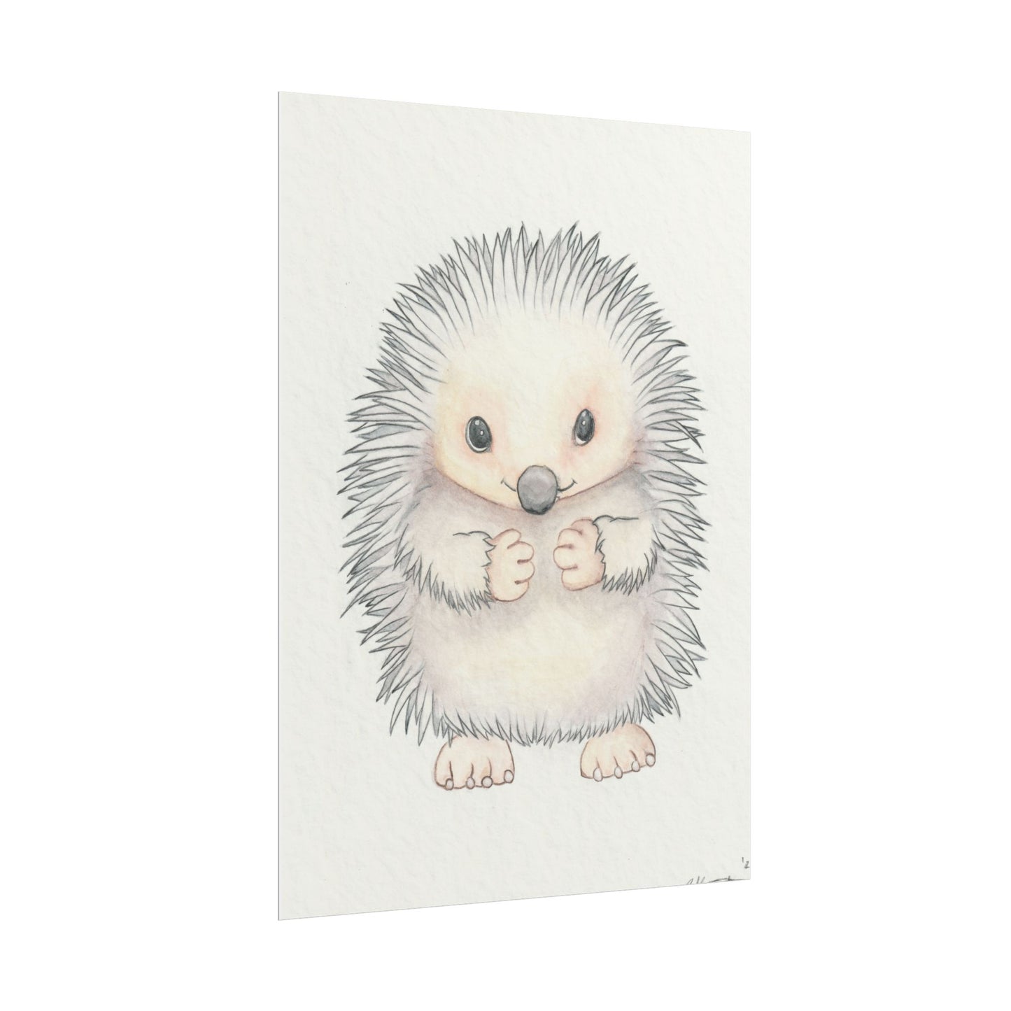 Baby Hedgehog - Art Print, Varying sizes available, Matte or Fine Art paper available