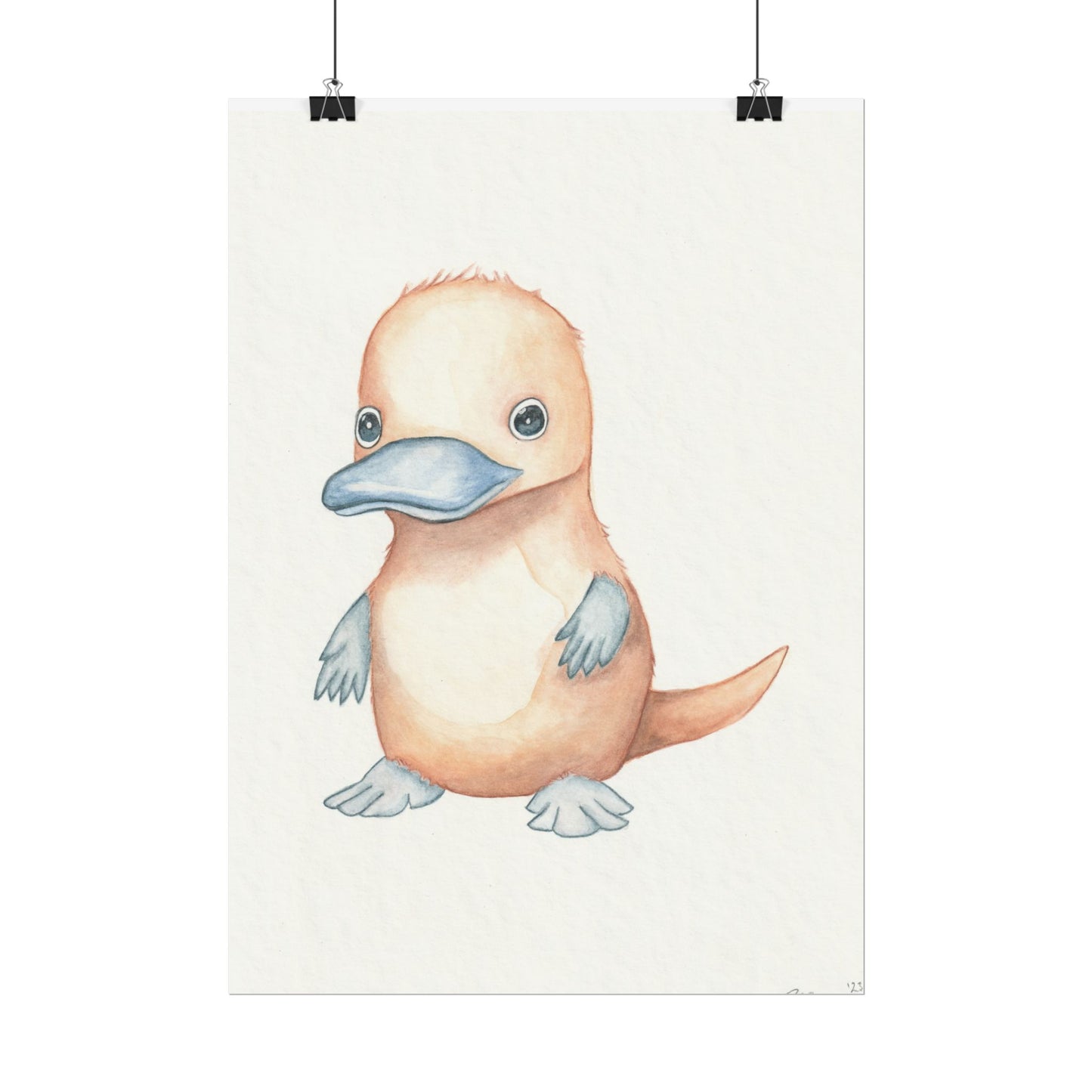 Baby Platypus - Art Print, Varying sizes available, Matte or Fine Art paper available