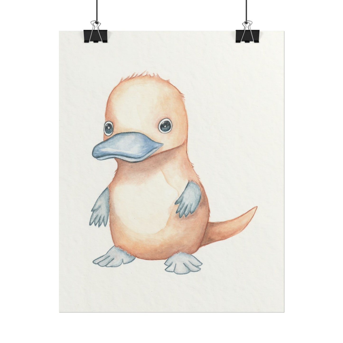 Baby Platypus - Art Print, Varying sizes available, Matte or Fine Art paper available