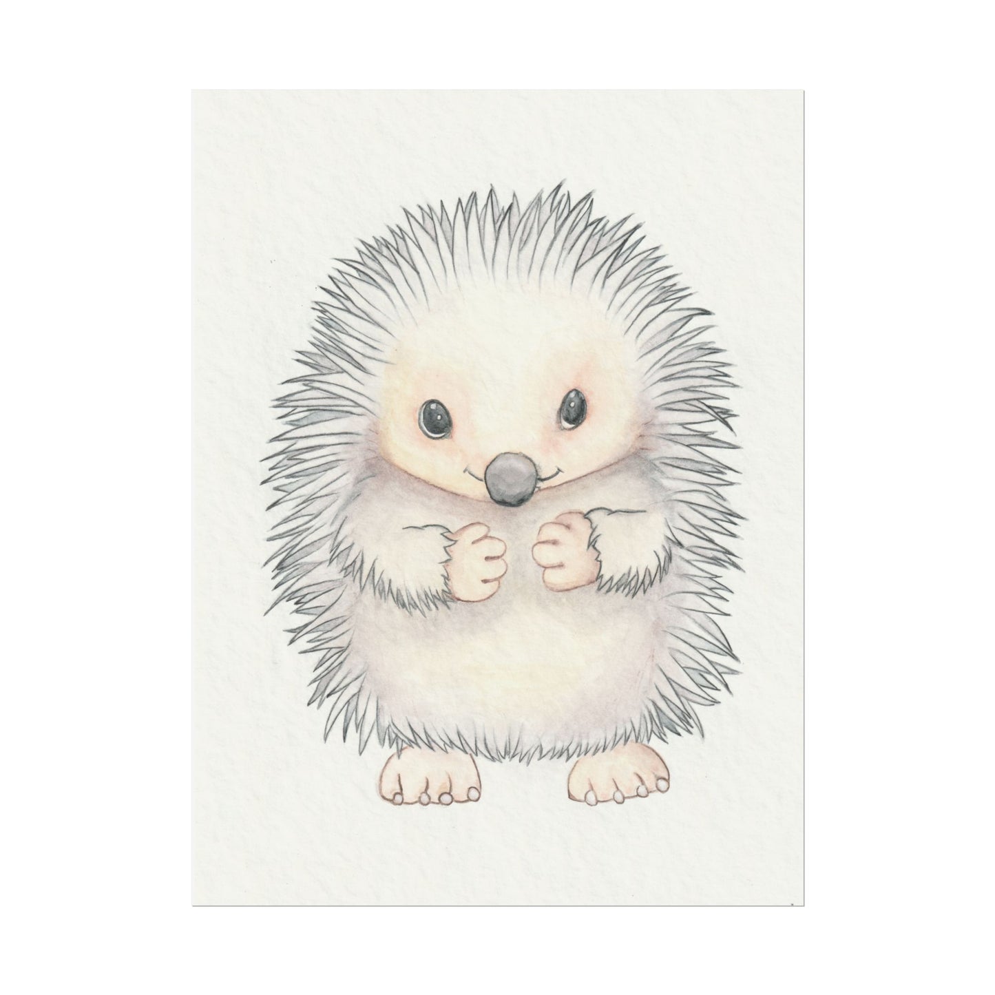 Baby Hedgehog - Art Print, Varying sizes available, Matte or Fine Art paper available