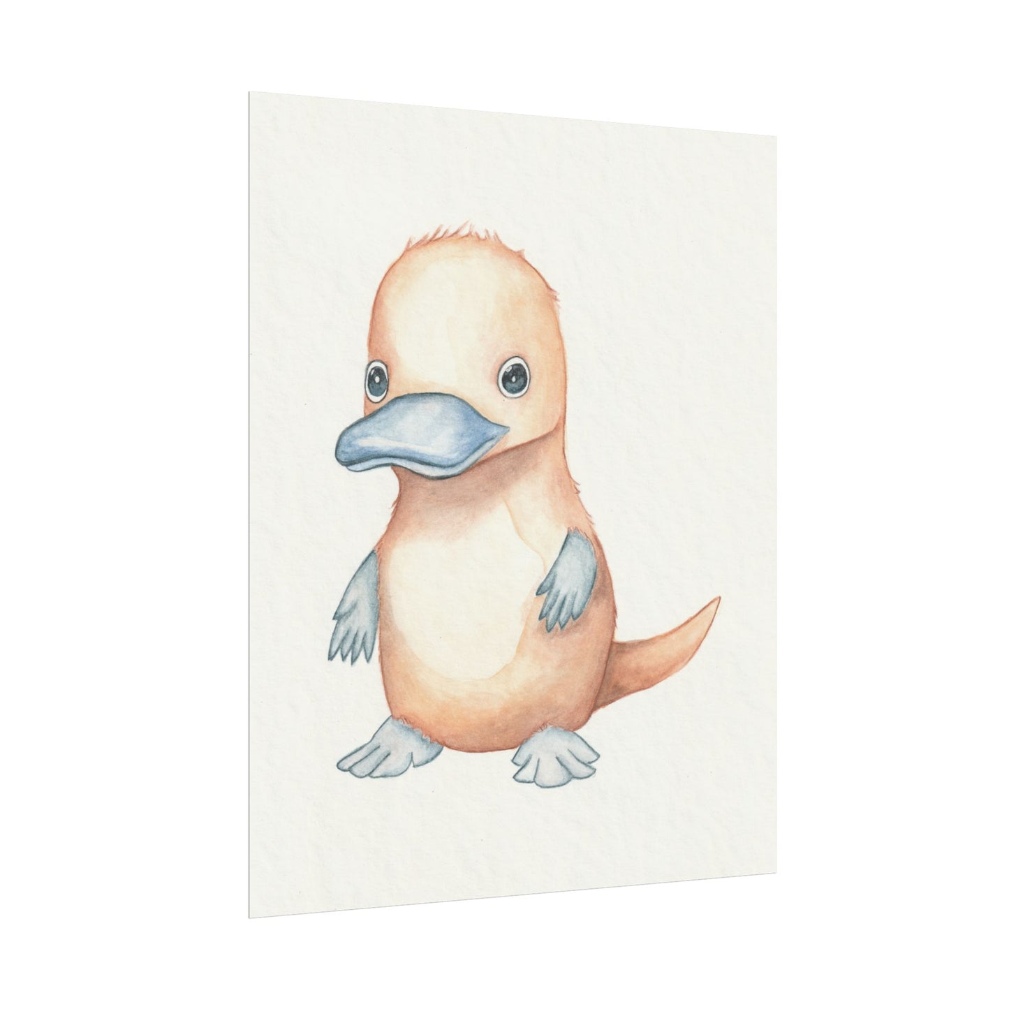 Baby Platypus - Art Print, Varying sizes available, Matte or Fine Art paper available