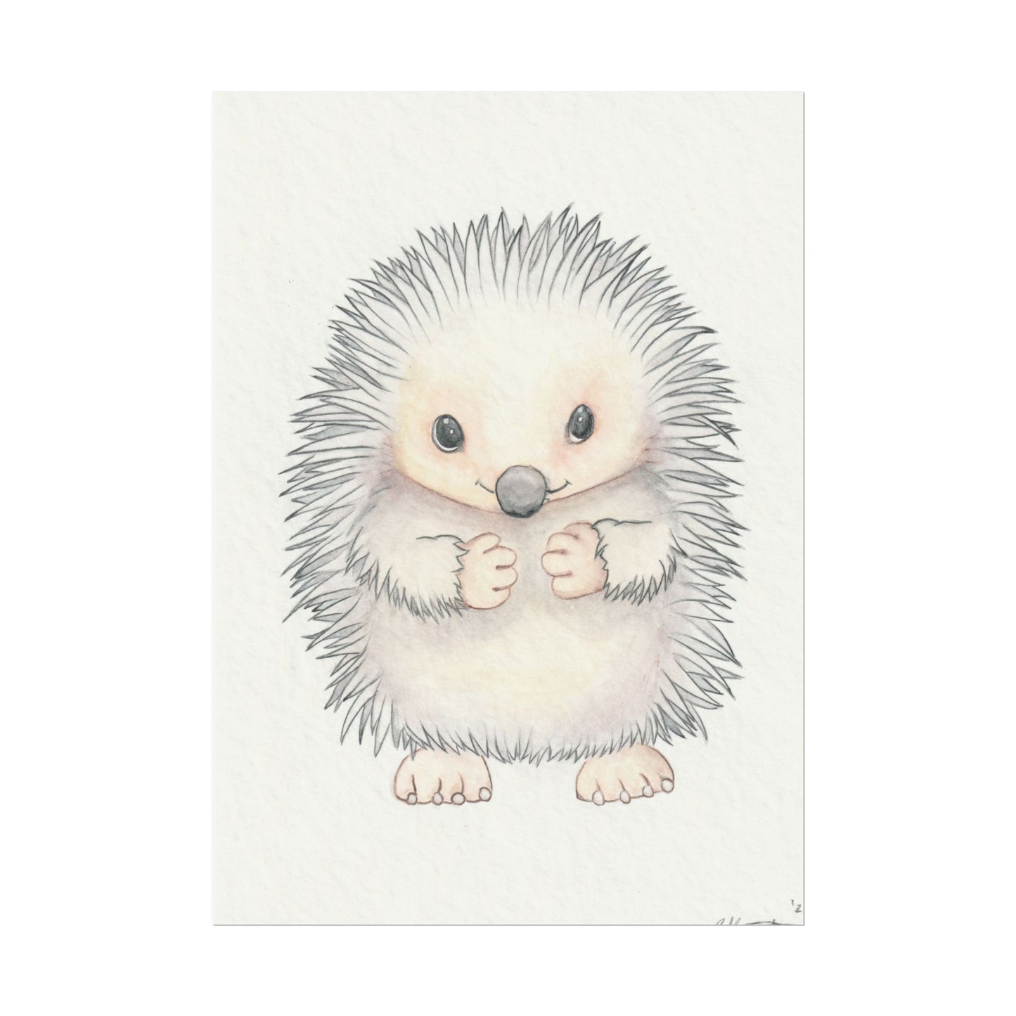 Baby Hedgehog - Art Print, Varying sizes available, Matte or Fine Art paper available