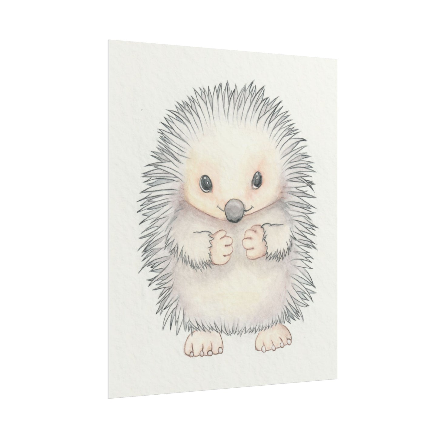 Baby Hedgehog - Art Print, Varying sizes available, Matte or Fine Art paper available