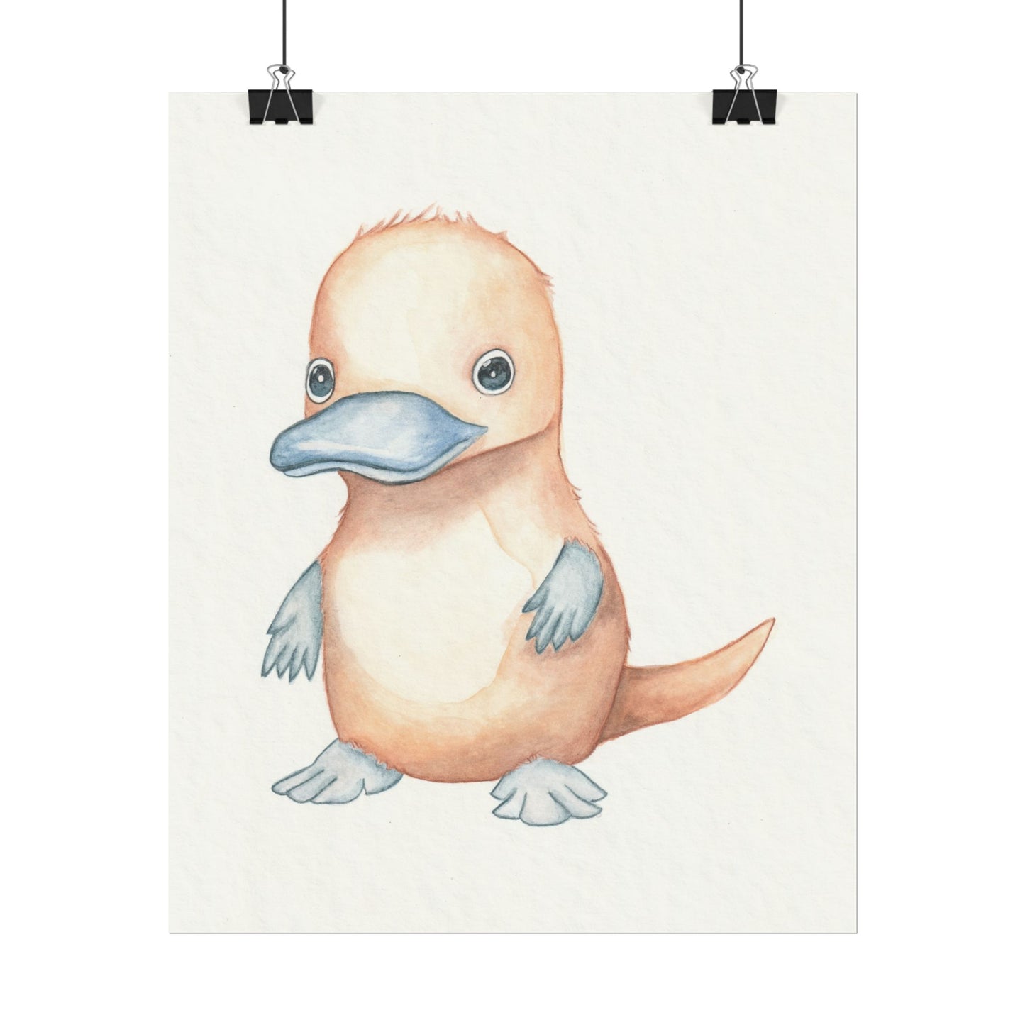 Baby Platypus - Art Print, Varying sizes available, Matte or Fine Art paper available