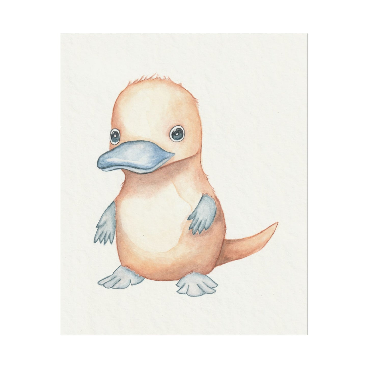 Baby Platypus - Art Print, Varying sizes available, Matte or Fine Art paper available