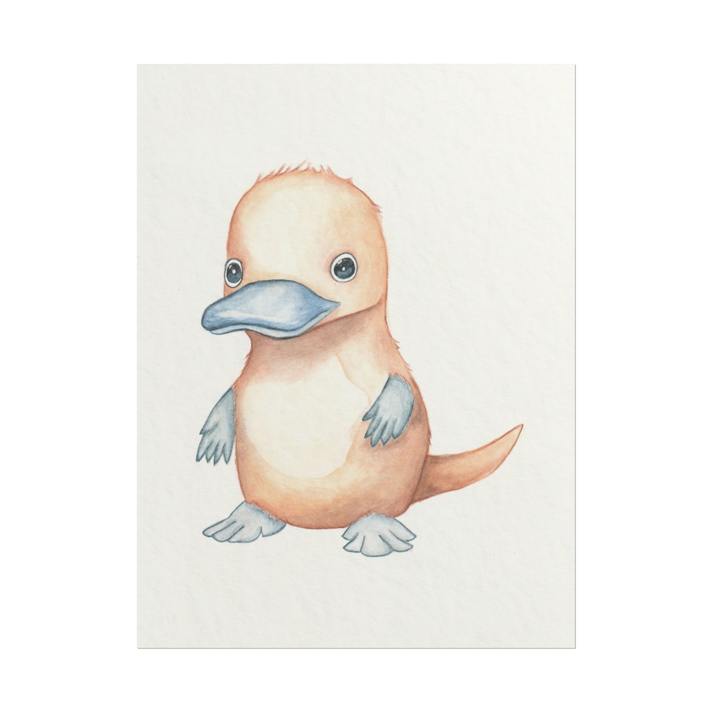 Baby Platypus - Art Print, Varying sizes available, Matte or Fine Art paper available