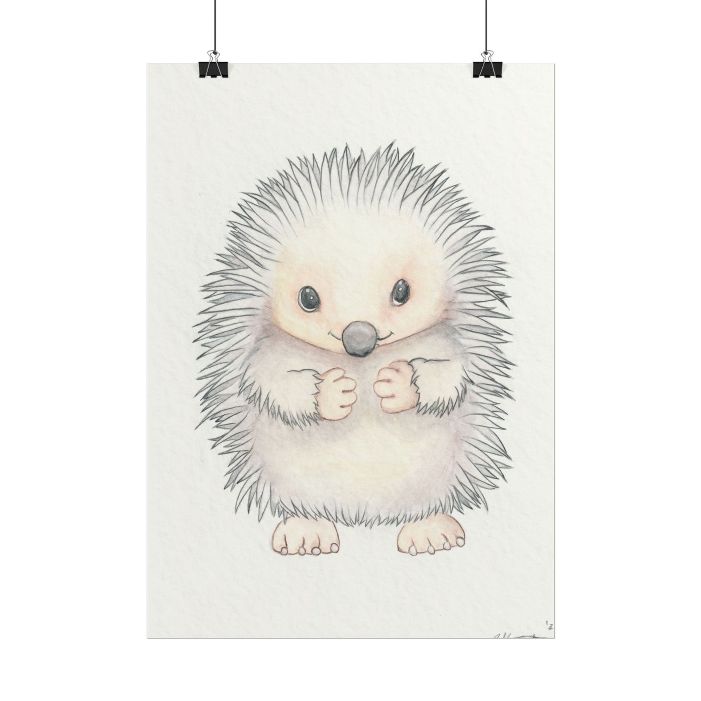 Baby Hedgehog - Art Print, Varying sizes available, Matte or Fine Art paper available