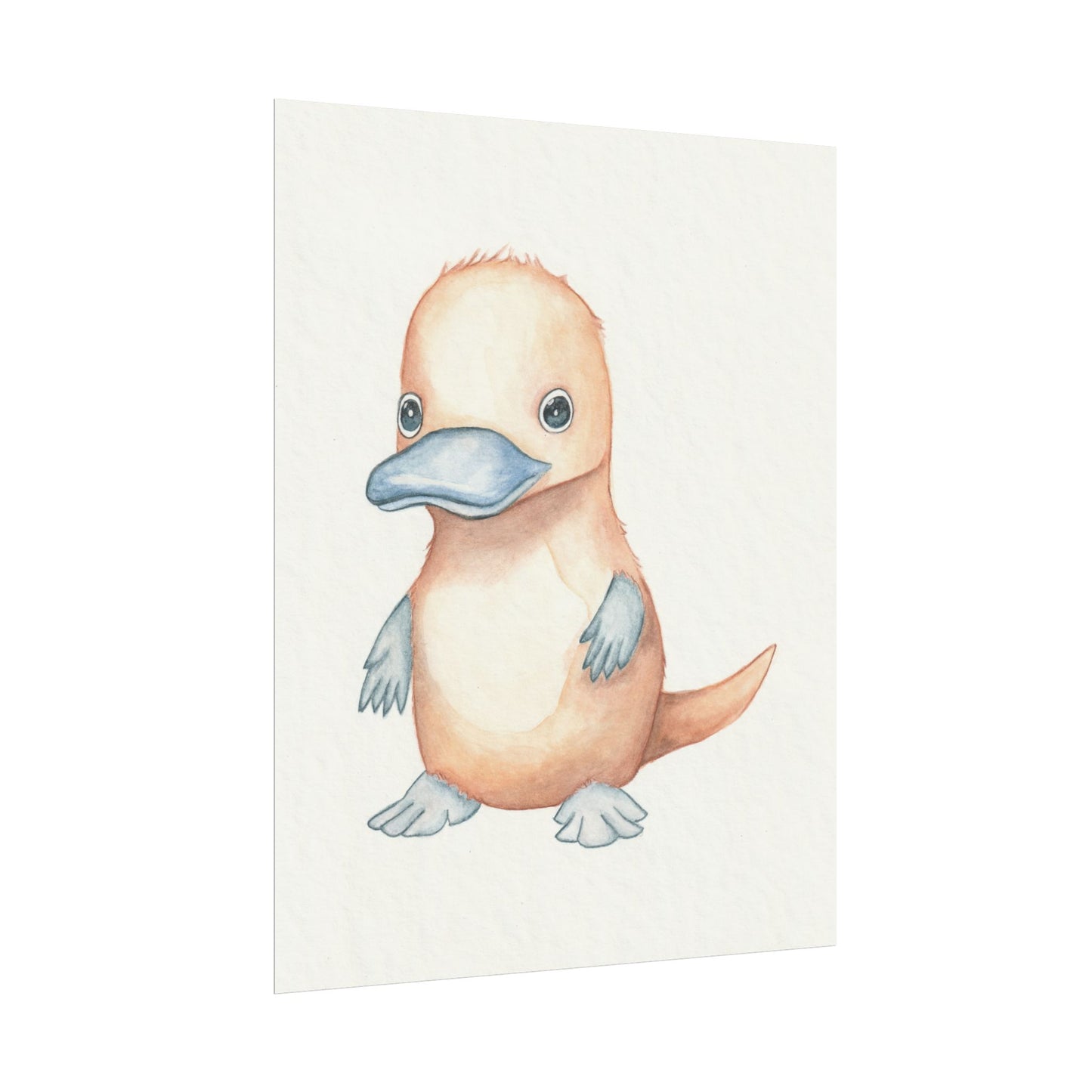 Baby Platypus - Art Print, Varying sizes available, Matte or Fine Art paper available