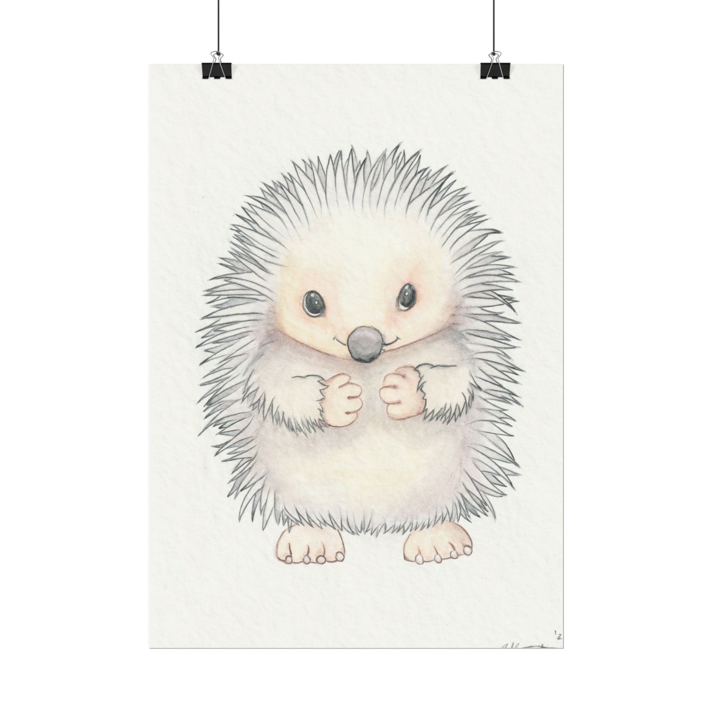 Baby Hedgehog - Art Print, Varying sizes available, Matte or Fine Art paper available