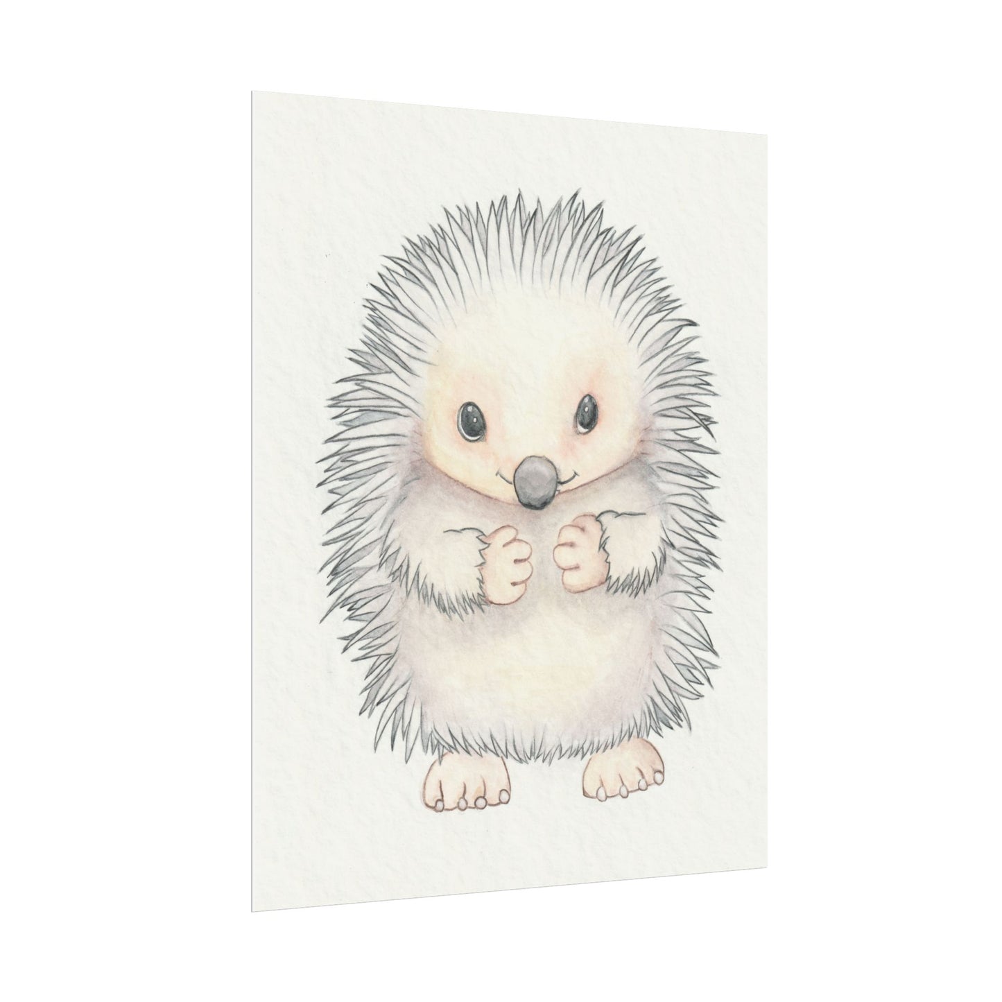 Baby Hedgehog - Art Print, Varying sizes available, Matte or Fine Art paper available