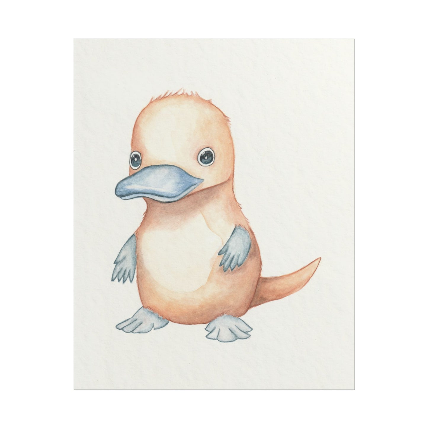 Baby Platypus - Art Print, Varying sizes available, Matte or Fine Art paper available