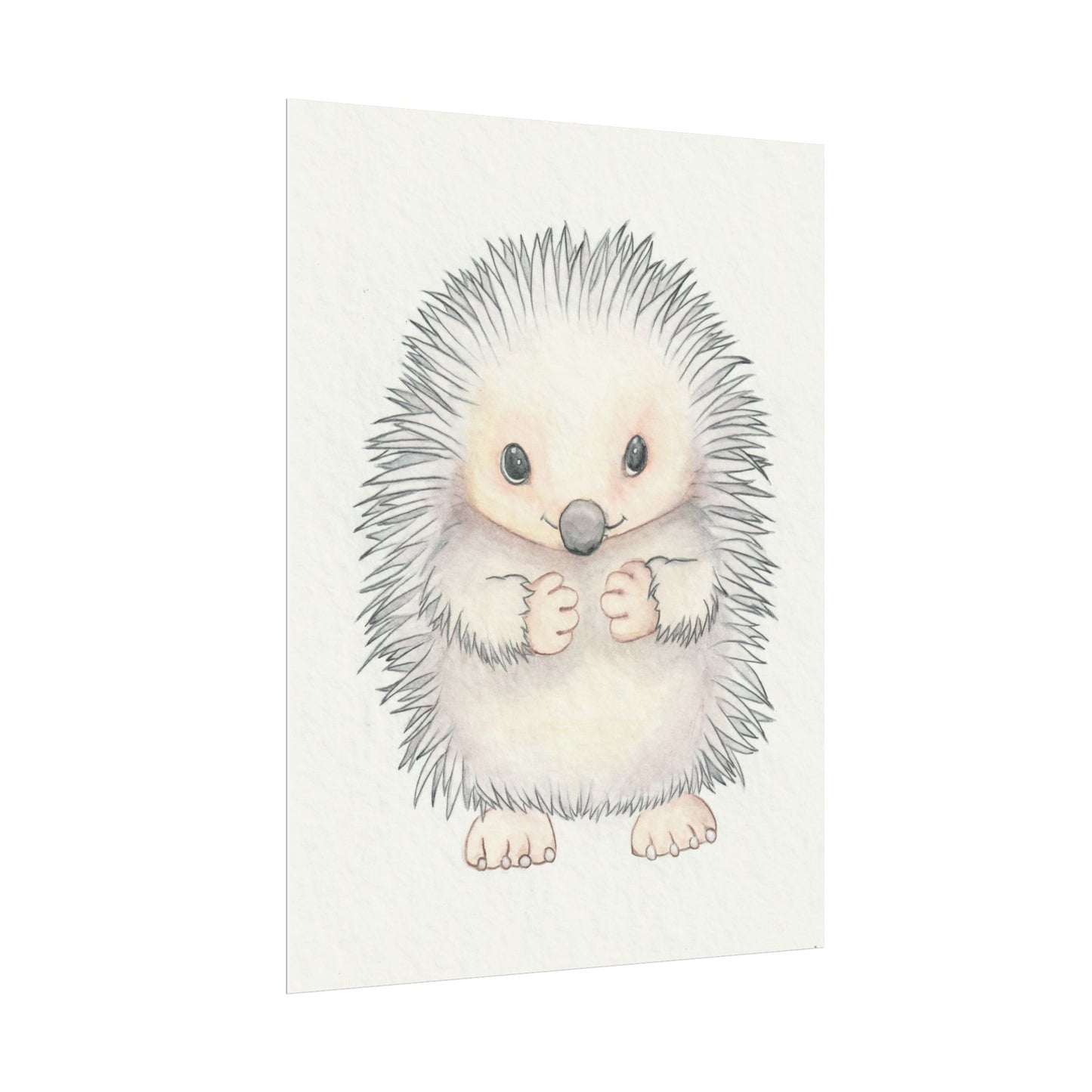 Baby Hedgehog - Art Print, Varying sizes available, Matte or Fine Art paper available