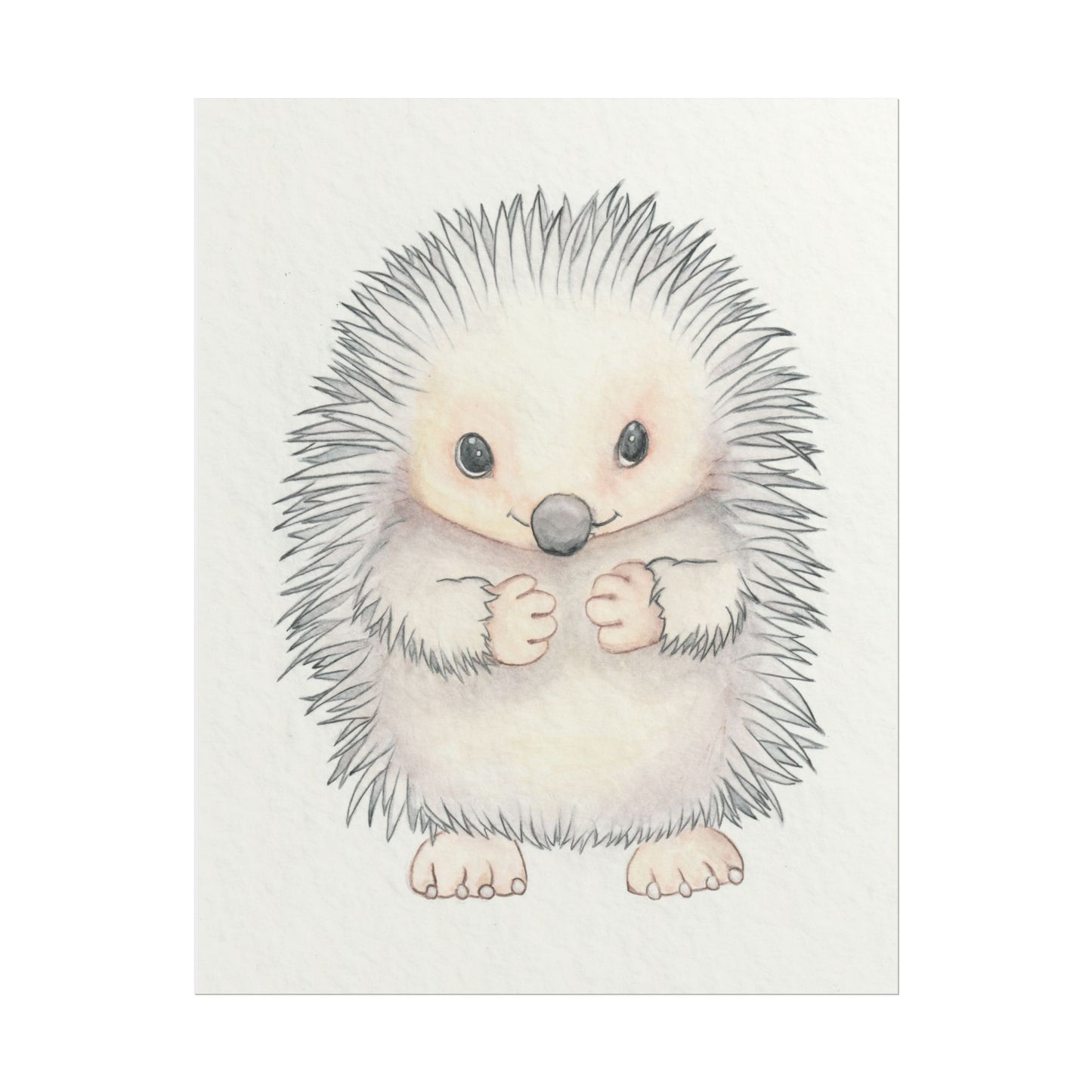 Baby Hedgehog - Art Print, Varying sizes available, Matte or Fine Art paper available