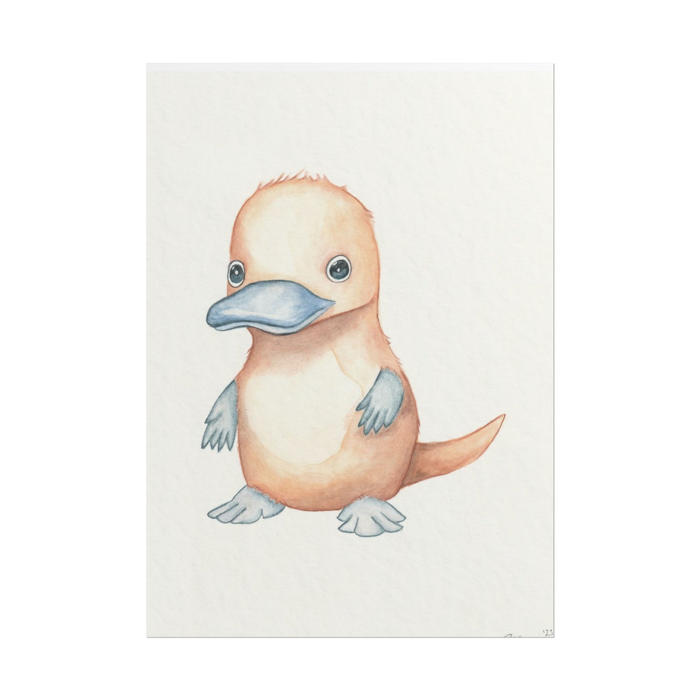 Baby Platypus - Art Print, Varying sizes available, Matte or Fine Art paper available