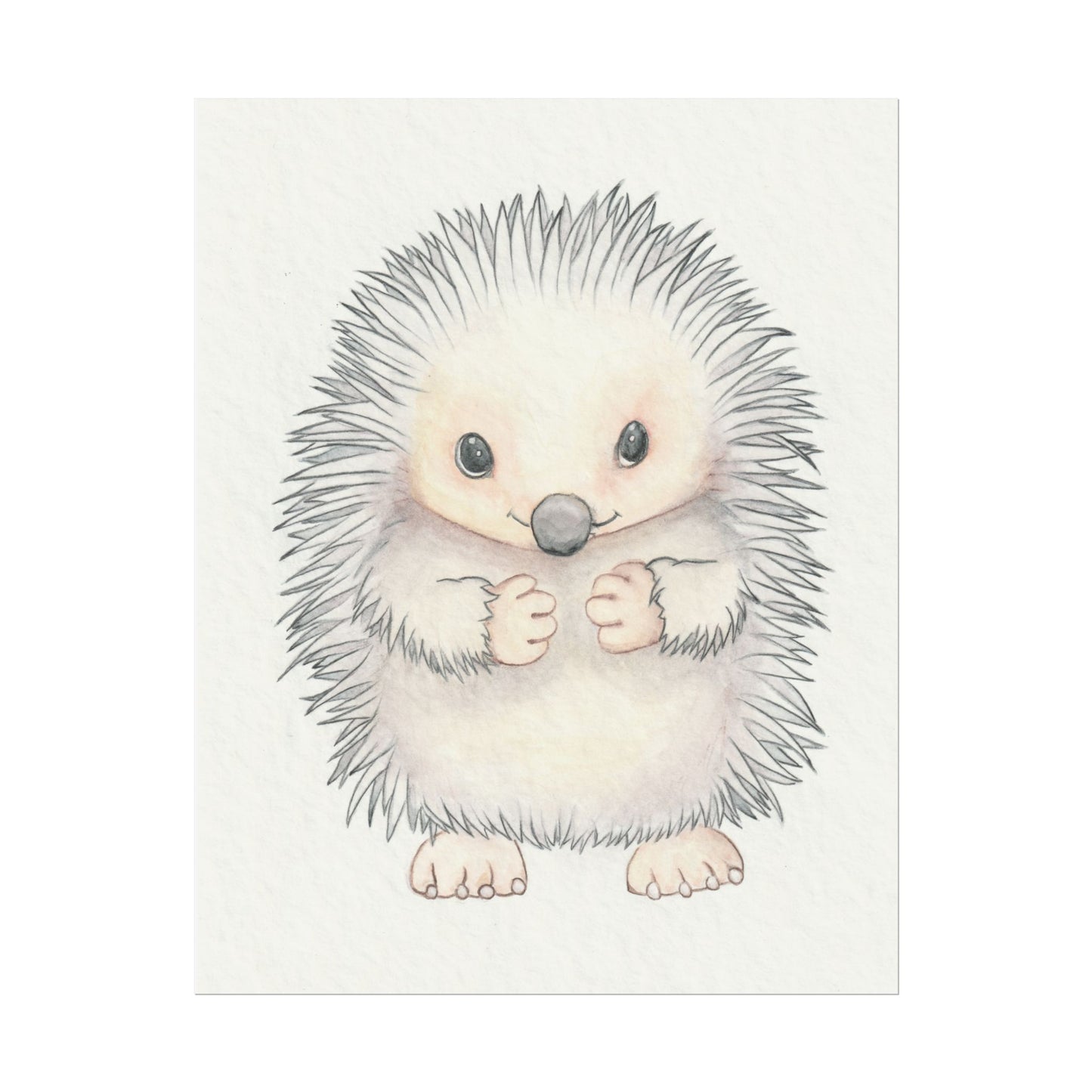 Baby Hedgehog - Art Print, Varying sizes available, Matte or Fine Art paper available