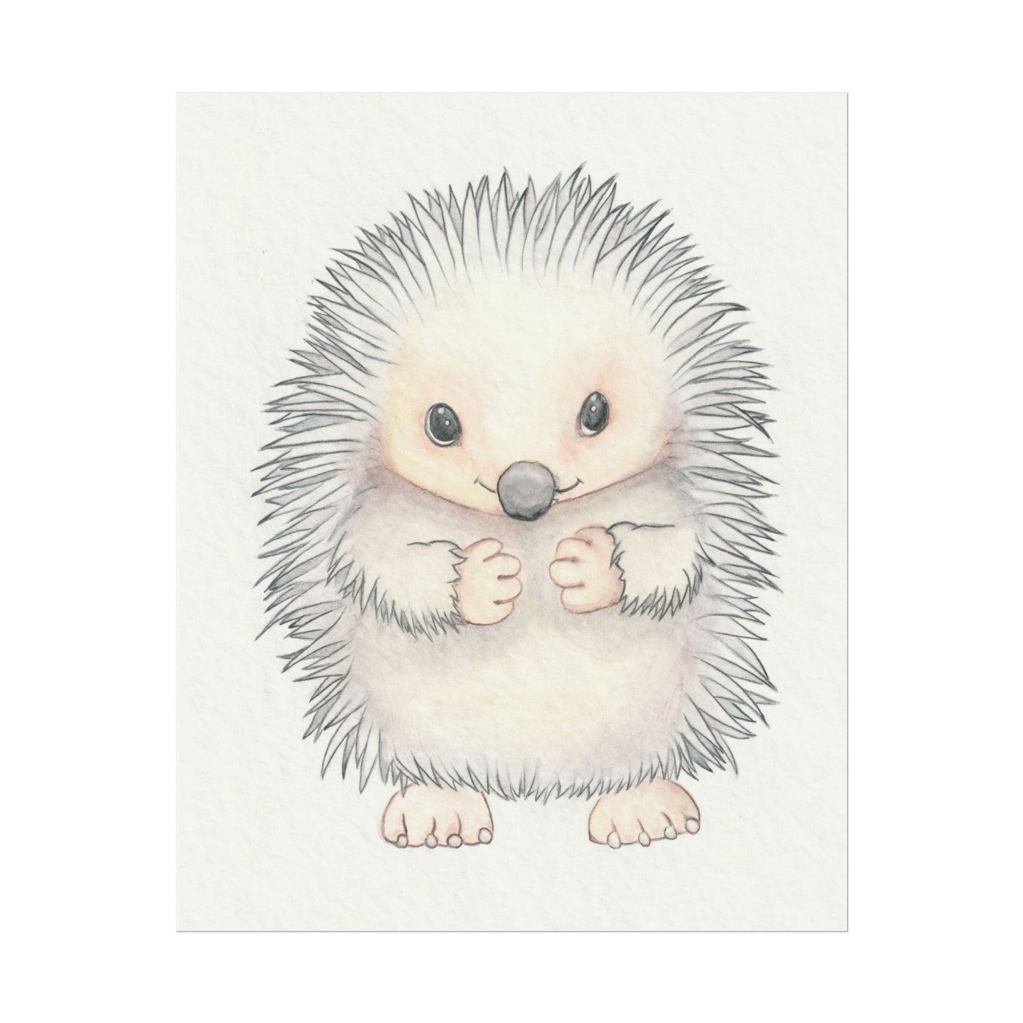 Baby Hedgehog - Art Print, Varying sizes available, Matte or Fine Art paper available