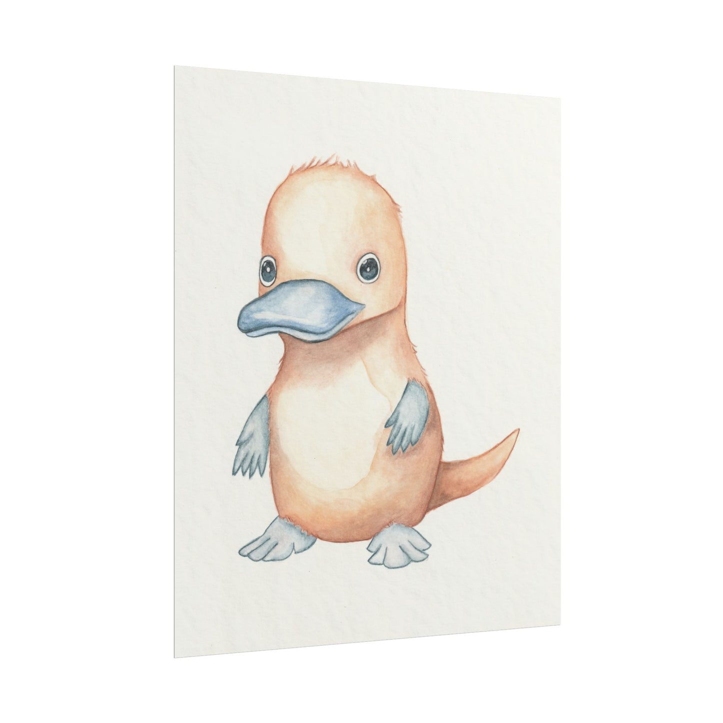 Baby Platypus - Art Print, Varying sizes available, Matte or Fine Art paper available