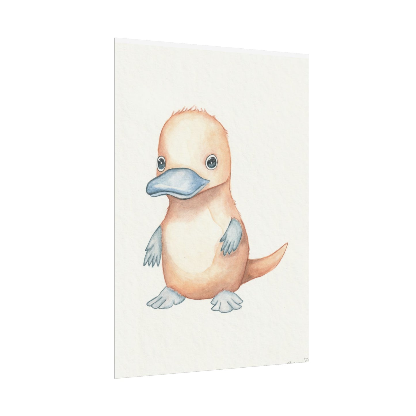 Baby Platypus - Art Print, Varying sizes available, Matte or Fine Art paper available