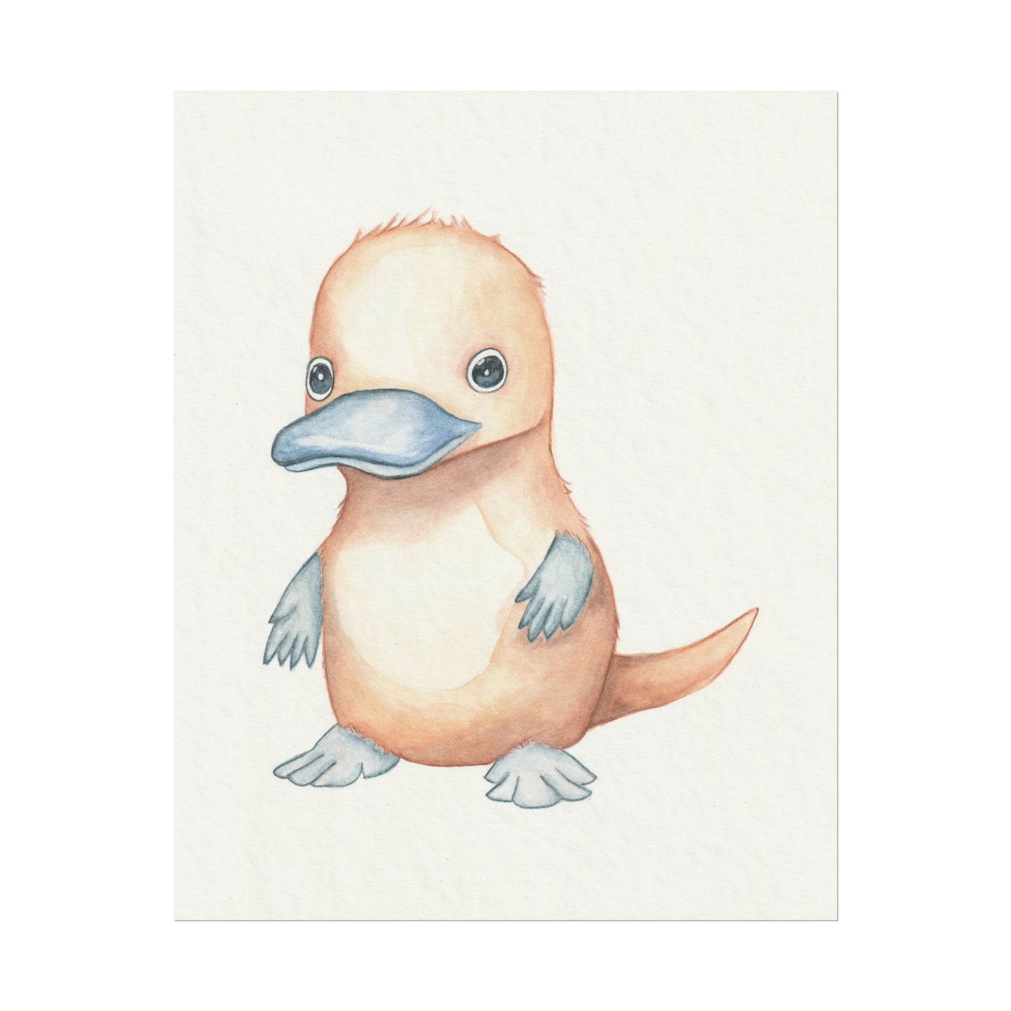 Baby Platypus - Art Print, Varying sizes available, Matte or Fine Art paper available