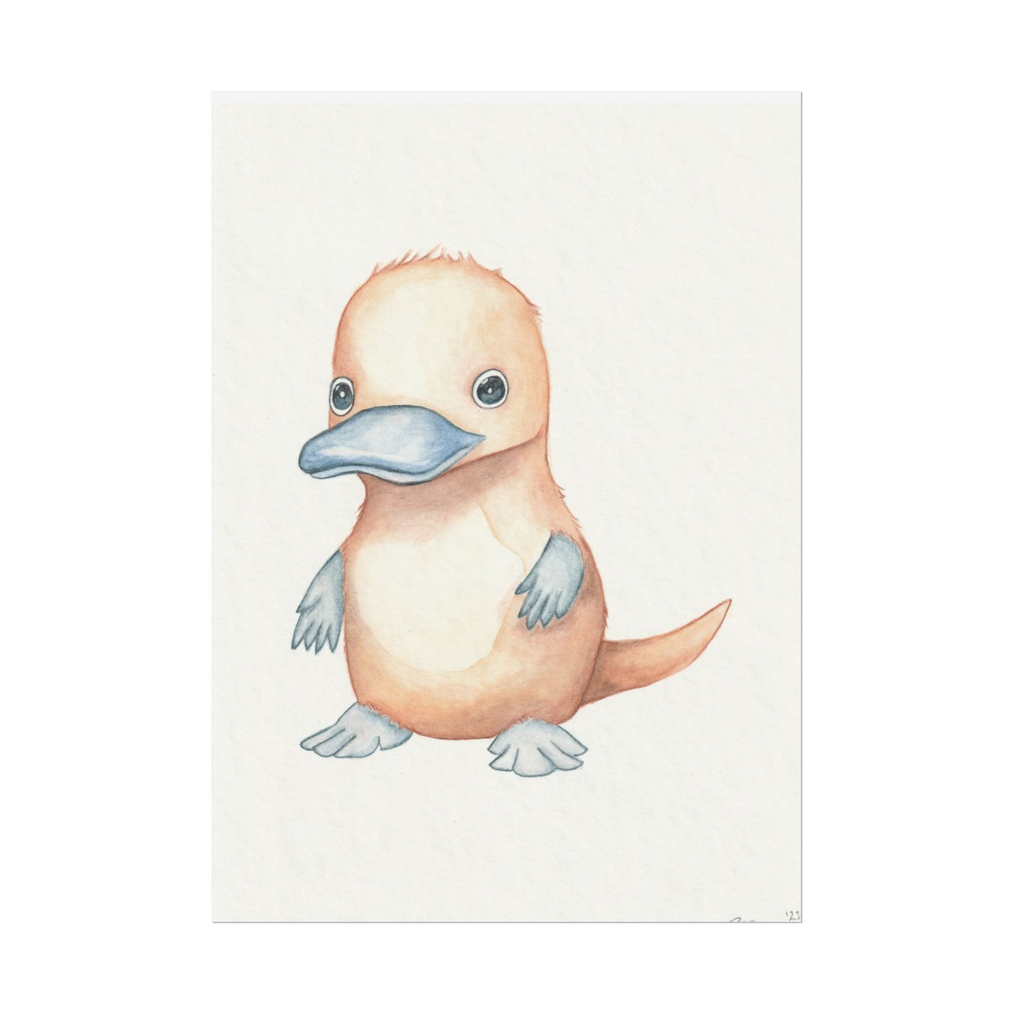 Baby Platypus - Art Print, Varying sizes available, Matte or Fine Art paper available