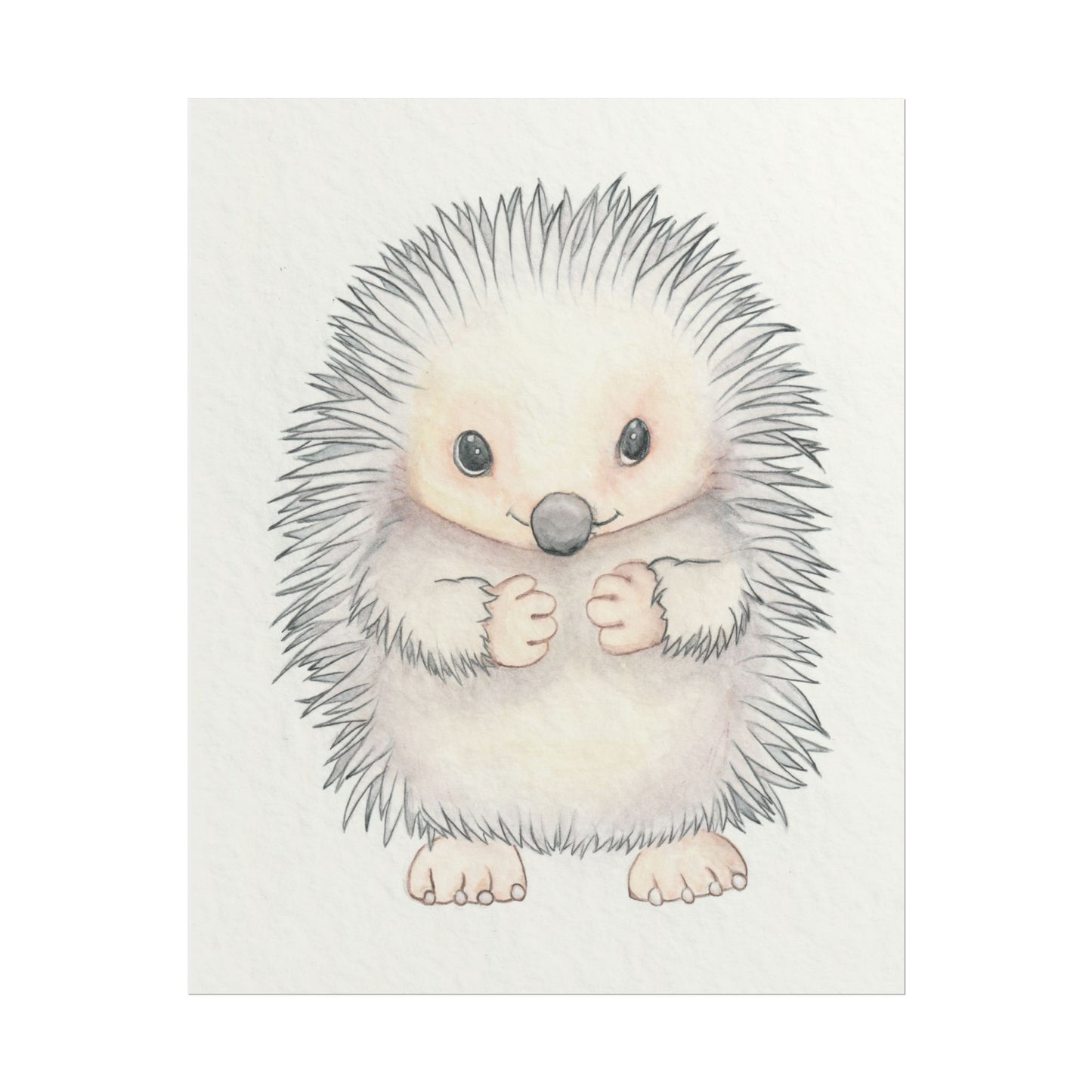 Baby Hedgehog - Art Print, Varying sizes available, Matte or Fine Art paper available