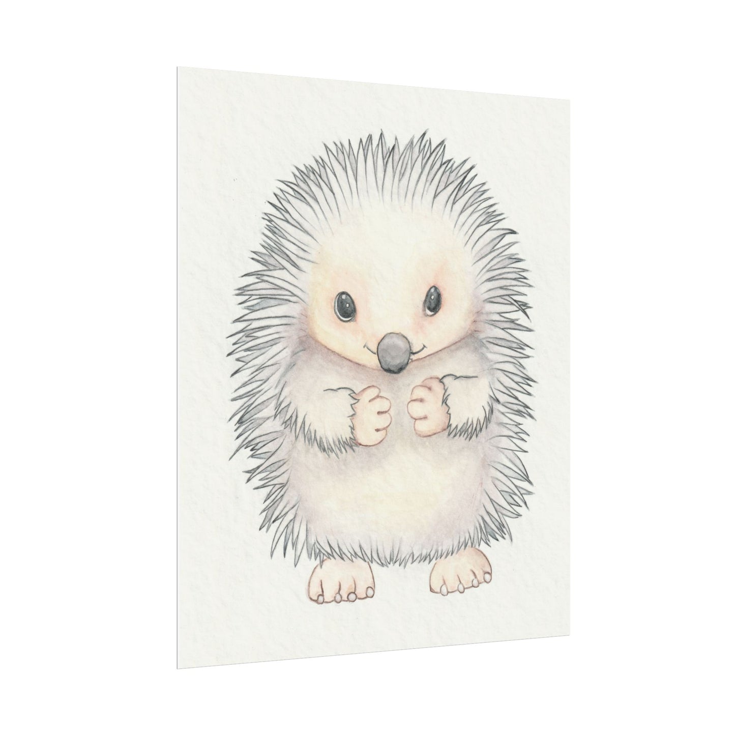 Baby Hedgehog - Art Print, Varying sizes available, Matte or Fine Art paper available