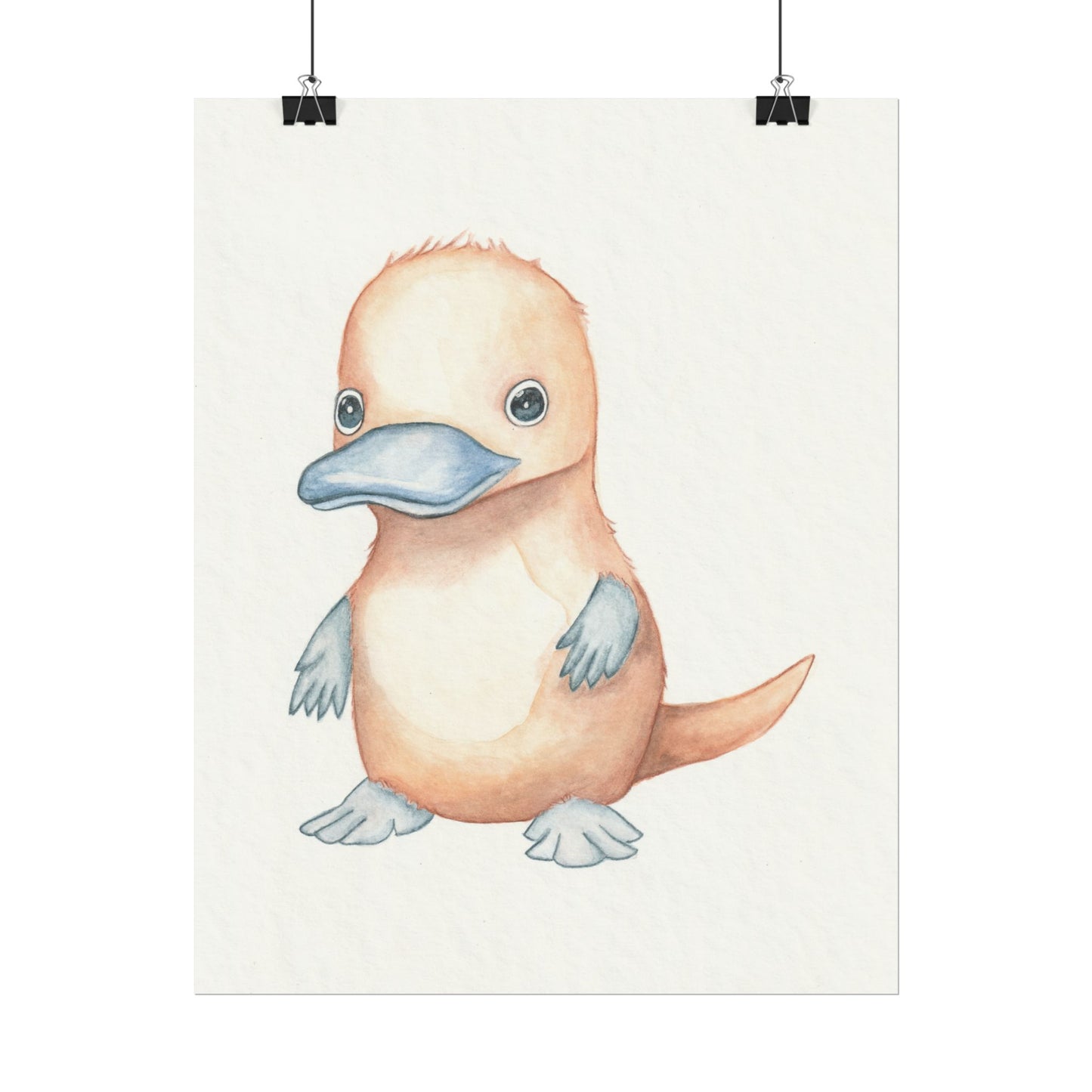 Baby Platypus - Art Print, Varying sizes available, Matte or Fine Art paper available