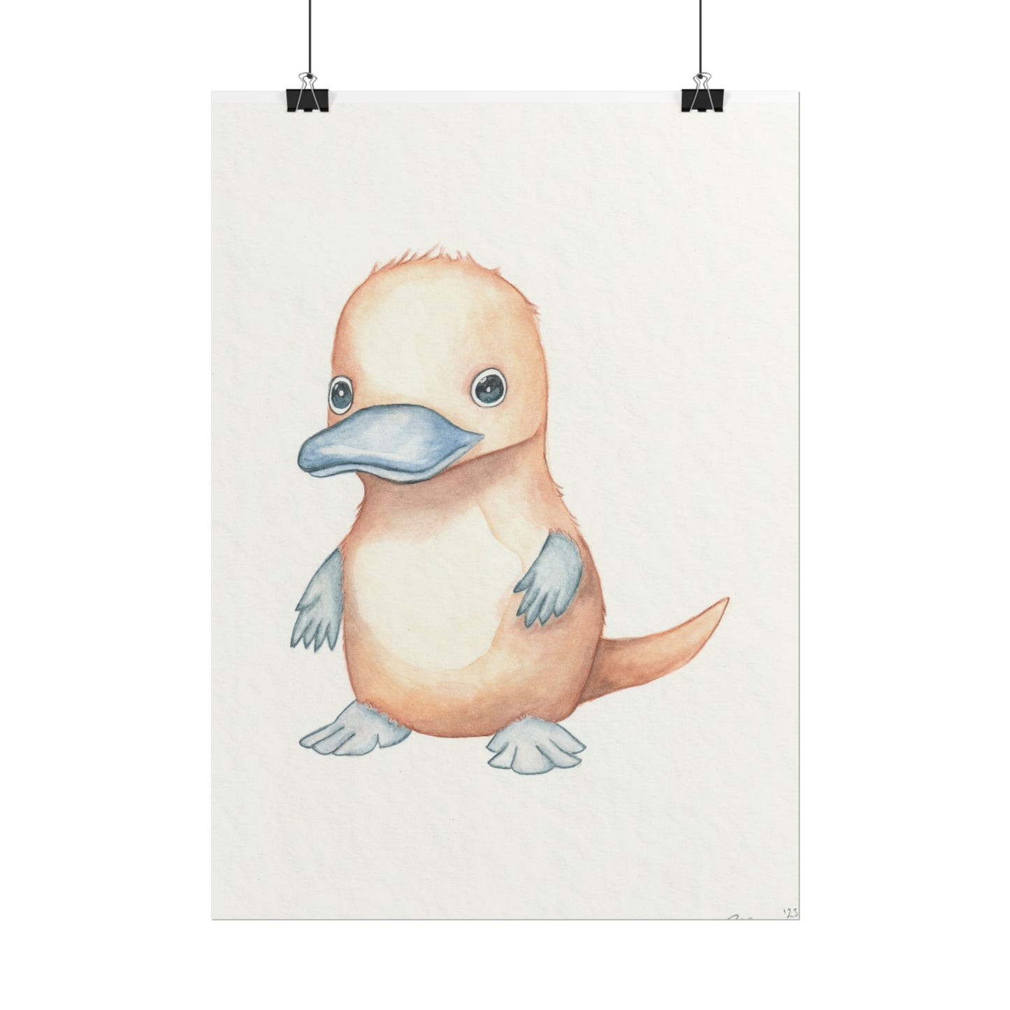 Baby Platypus - Art Print, Varying sizes available, Matte or Fine Art paper available